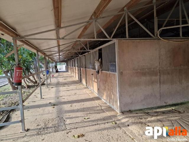 Terreno en alquiler en Baix Camp, Catalunya