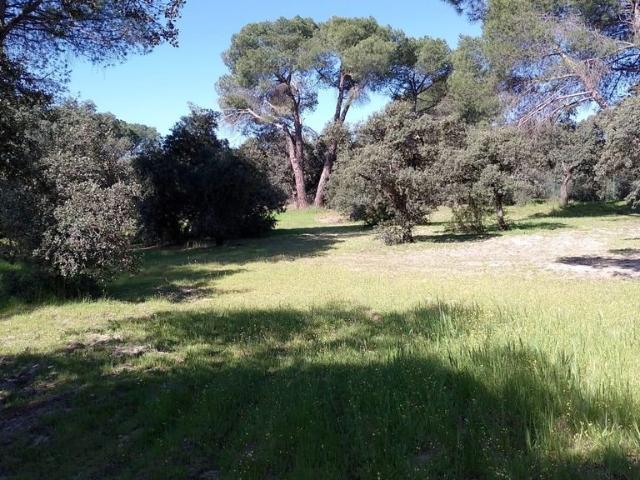 Terreno en venta en Urbanización Monte Claro, Pozuelo De Alarcón