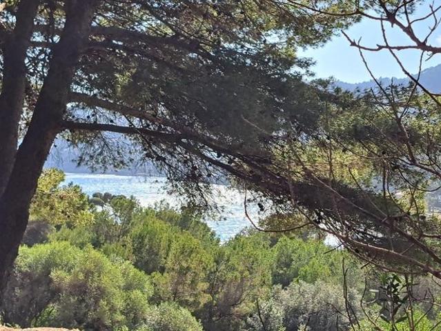Terreno en venta en Canyamel, Llevant