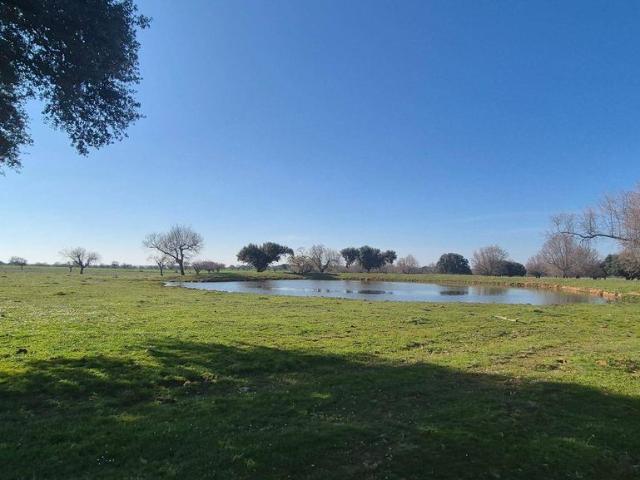 Terreno en venta en Carrascal Del Obispo, Castilla y León