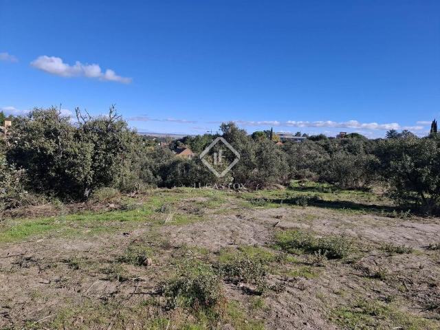 Terreno en venta en Medina-sidonia, Madrid