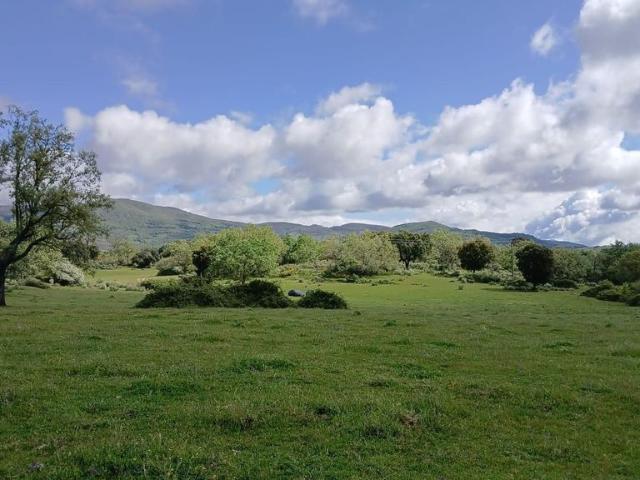Terreno en venta en Tejeda De Tiétar, Extremadura