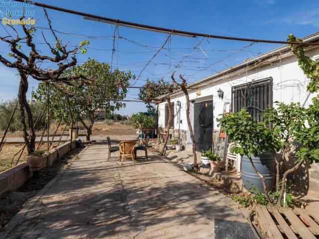 Terreno en venta en Genil, Granada