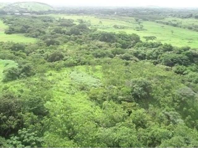Terreno / Solar de 510000 m2 Natá, Provincia de Coclé