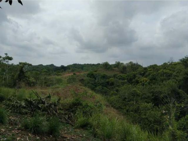 Lote en venta en Antioquia, Bajo Cauca