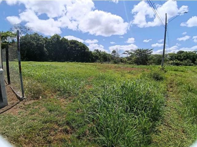 Terreno venta en David