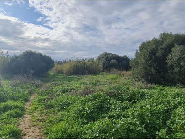 Terreno en venta en Campo-Mijas, Costa del Sol Occidental