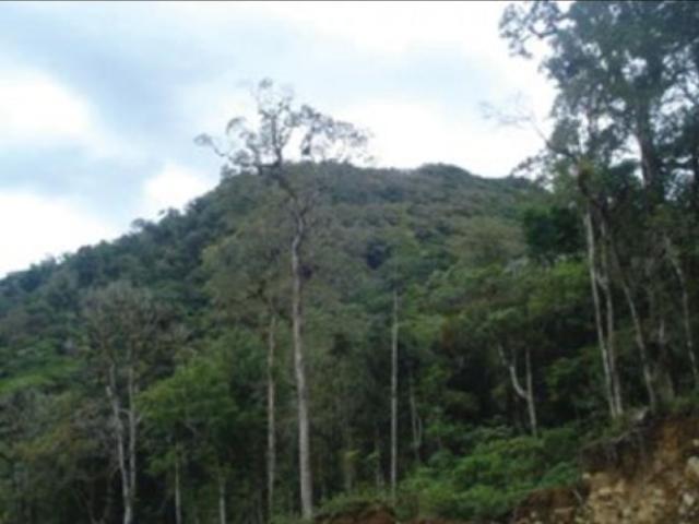 Terreno venta en Bajo Boquete, Boquete