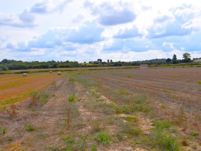 Terreno en venta en Platja de Muro, Pla de Mallorca