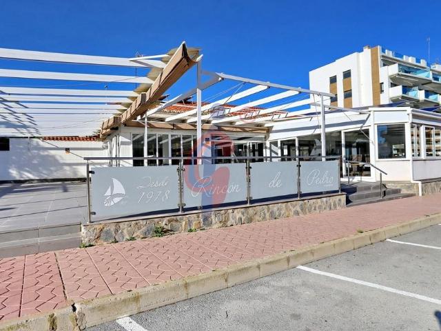 Terreno en venta en Urbanització Pinar de Guardamar, el Baix Segura / La Vega Baja