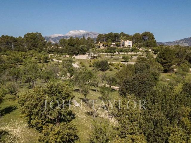 Terreno en venta en Moscari, Raiguer