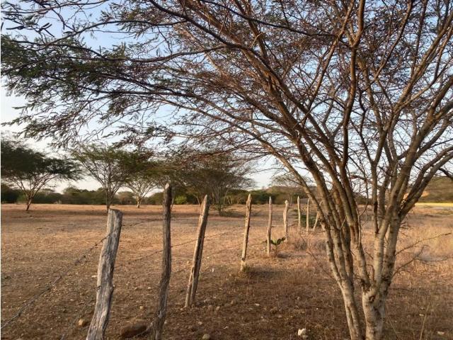 Terreno en venta en Fernando Peñalver, Amazonas