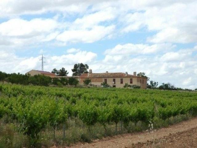 Terreno en venta en Almansa, Castilla-La Mancha
