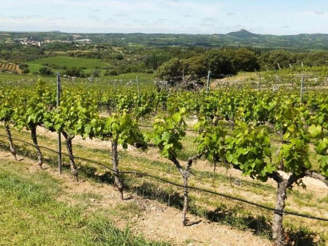Terreno en venta en Manilva, Castillo de la Duquesa