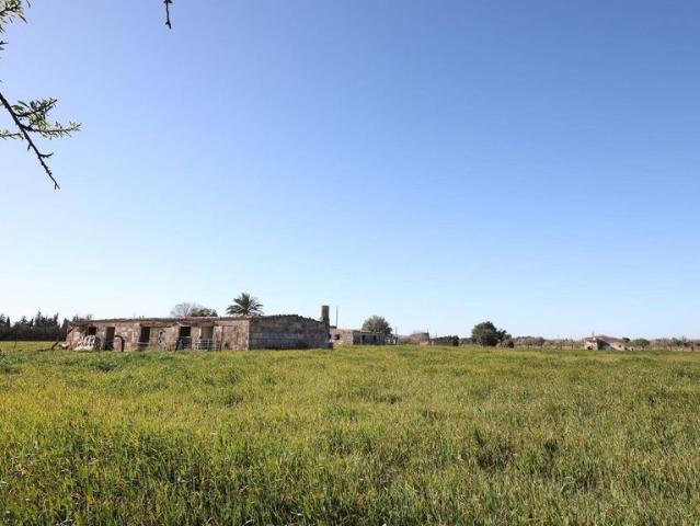 Terreno en venta en Raiguer, Baleares