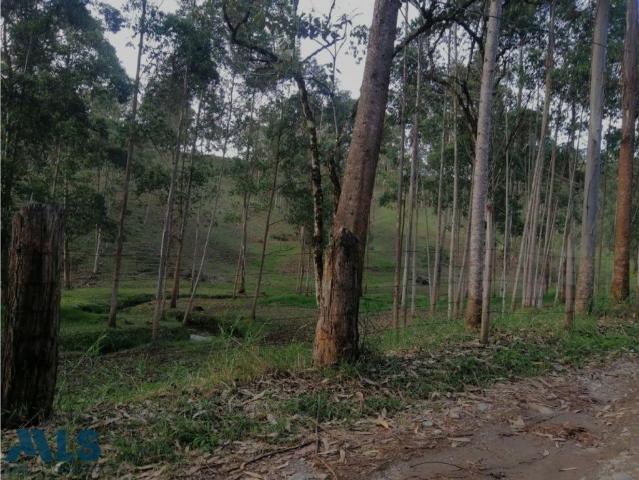 Lote en venta en Antioquia, Bajo Cauca