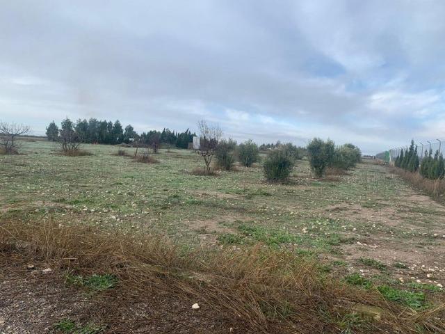 Terreno en venta en Munera, Castilla-La Mancha
