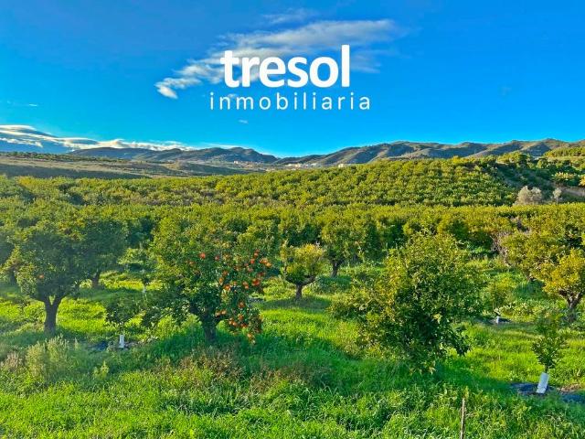Terreno en venta en Peñón-Zapata-Molina, Valle del Guadalhorce