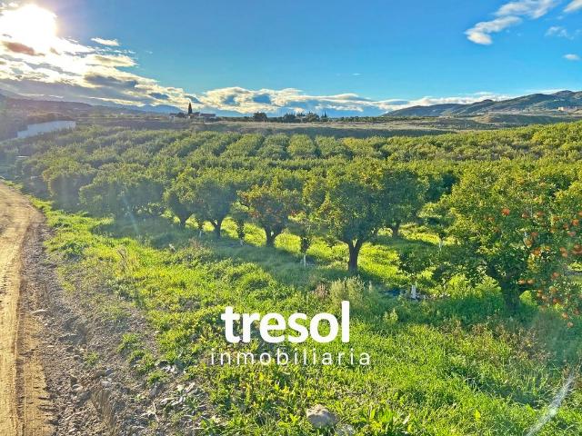 Terreno en venta en Peñón-Zapata-Molina, Valle del Guadalhorce