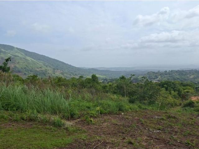 Terreno venta en Arraiján