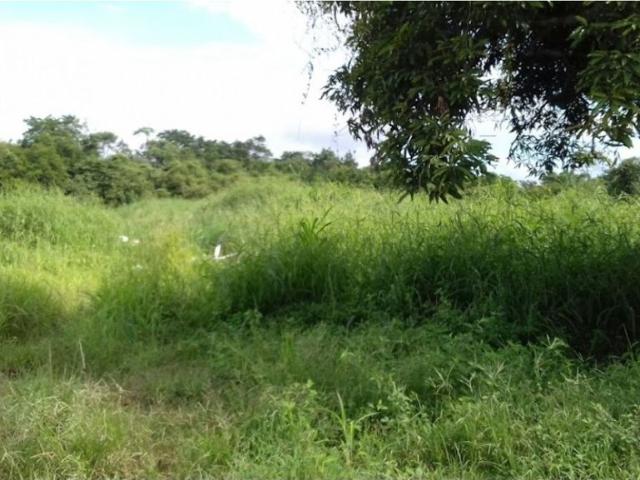Terreno / Solar en venta Arraiján, Panamá Oeste