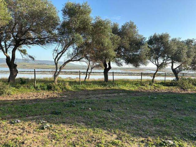 Terreno en venta en Urbanización Alcazaba, La Janda