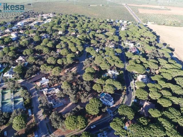 Terreno en venta en Bollullos De La Mitación, Andalucía