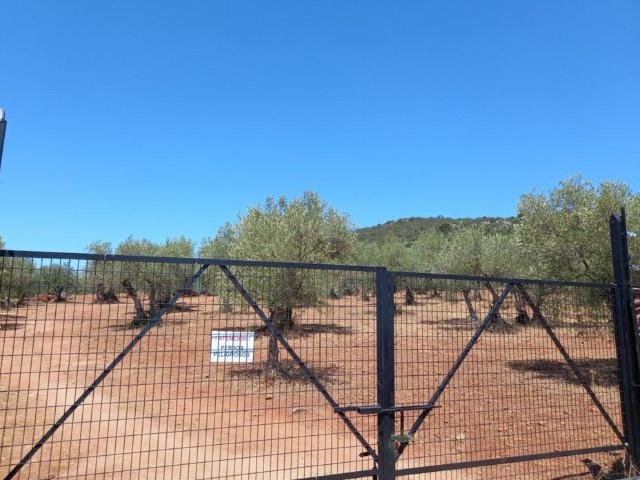 Terreno en venta en Cáceres, Extremadura