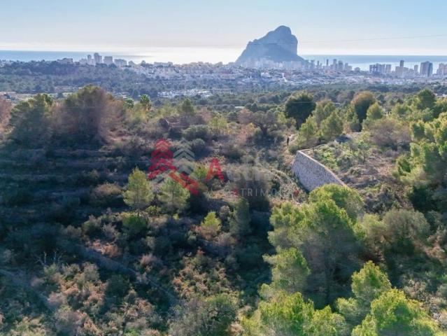 Terreno en venta en Calpe Terreno en venta en Calpe