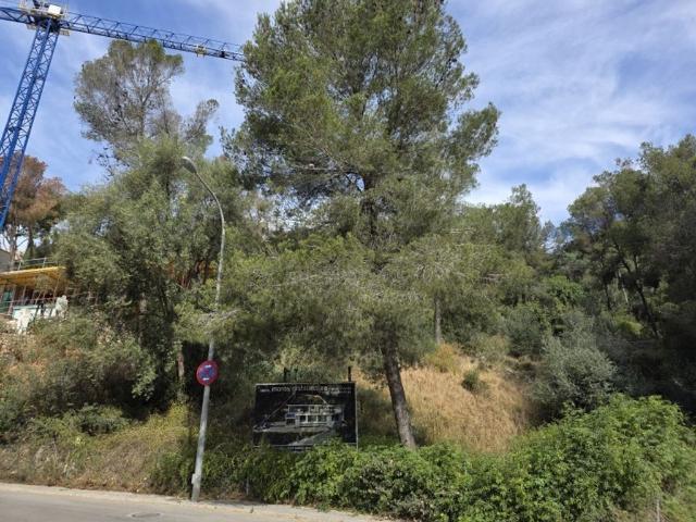 Terreno en venta en Calvià, Serra de Tramuntana