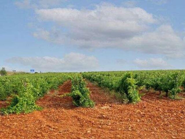 Terreno en venta en Zafra - Río Bodión, Extremadura