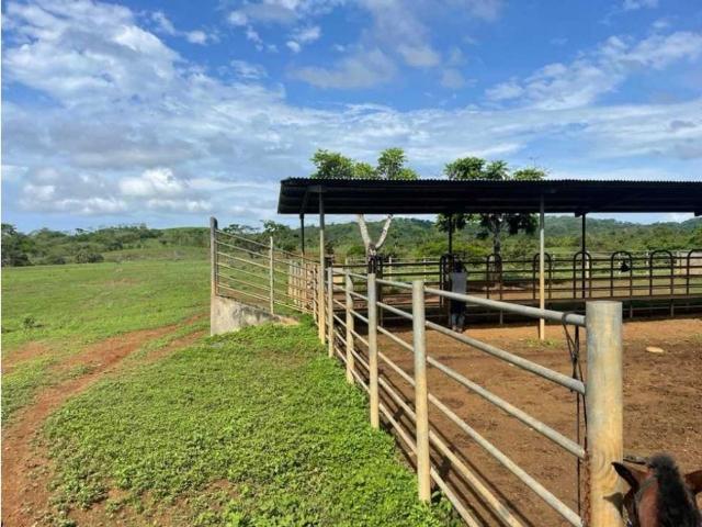 Terreno venta en Chepo, Panamá