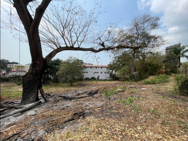 Terreno alquiler en Ciudad de Panamá, Panamá