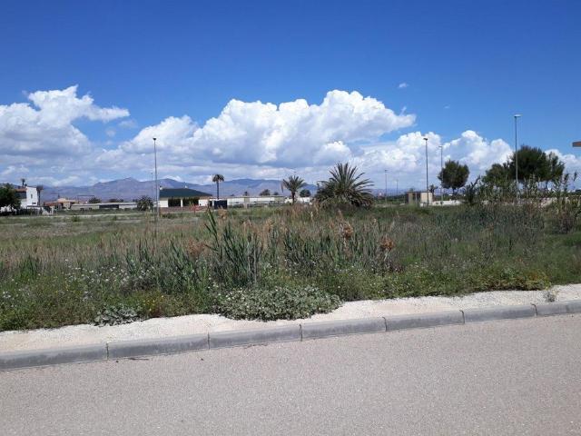 Terreno en venta en el Baix Segura / La Vega Baja, Valencia