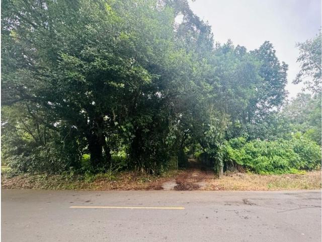 Terreno venta en David