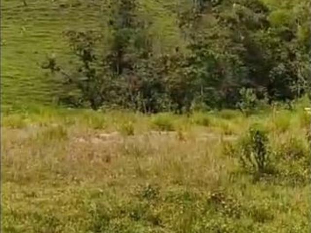 Lote en venta en Risaralda