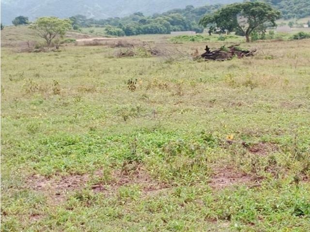 Terreno / Solar en venta El Copey, Departamento del Cesar