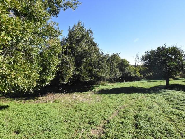 Terreno en venta en El Pedroso, Andalucía