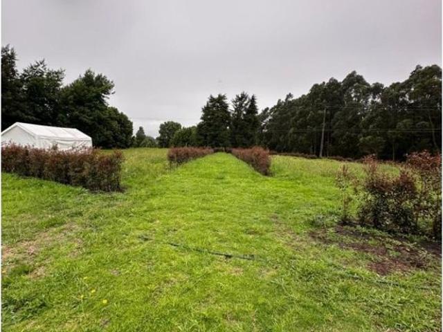 Lote en venta en El Rosal, Cundinamarca