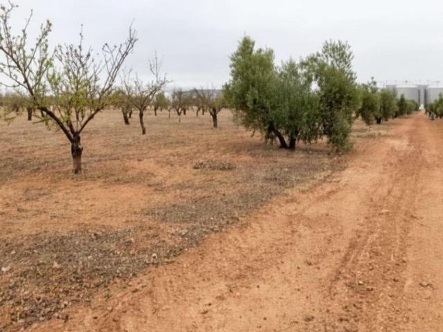 Terreno en venta en Comarca de Alhama, Andalucía