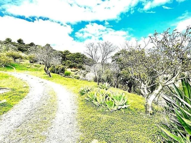 Terreno en venta en Barriada Islas Canarias, Costa del Sol Occidental