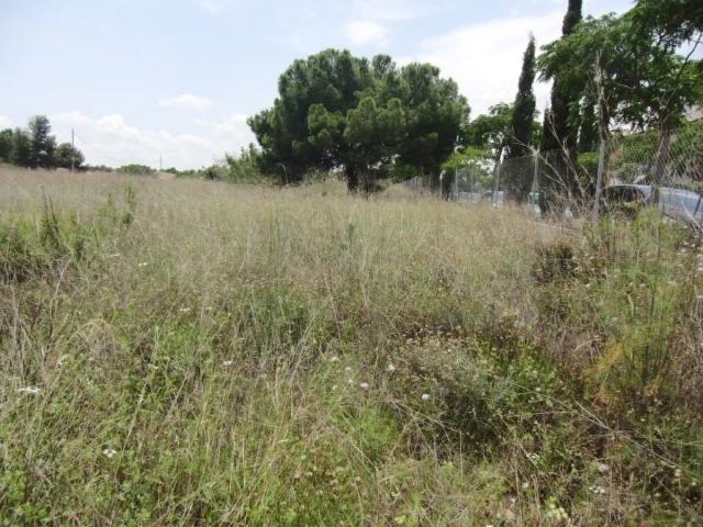 Terreno en venta en Campolivar, l'Horta Nord