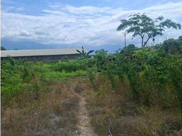 Terreno en venta en Guarenas, Miranda