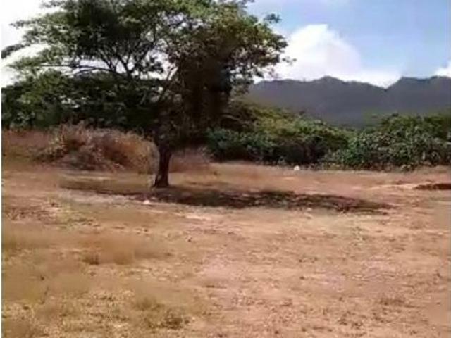 Terreno en venta en Parroquia Guatire, Municipio Zamora