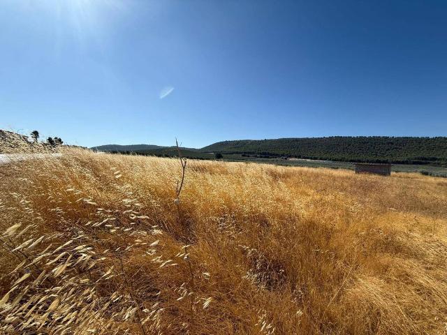 Terreno en venta en Antequera, Andalucía