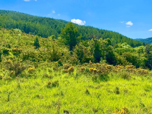 Terreno en venta en Badaguás, La Jacetania