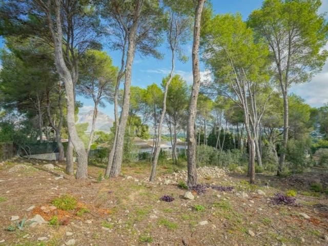 Terreno en venta en La Mandarina, la Marina Alta