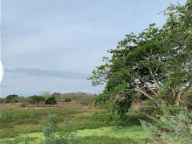 Terreno / Solar en venta Juan de Acosta, Colombia