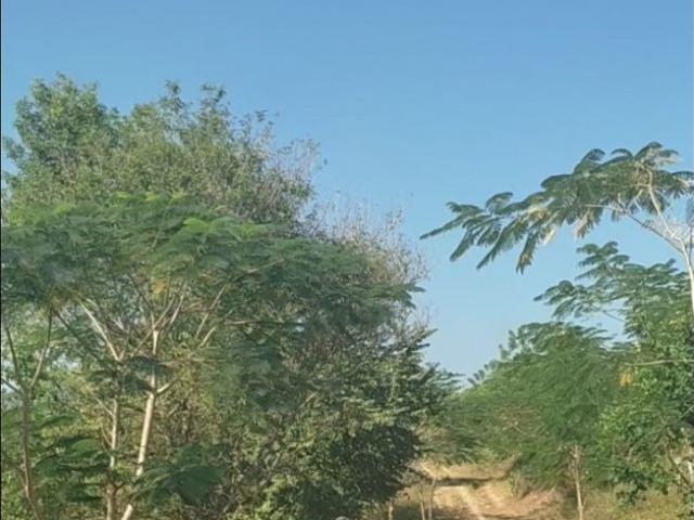 Terreno / Solar en venta Juan de Acosta, Colombia