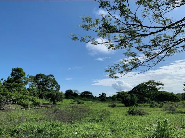 Terreno / Solar en venta Juan de Acosta, Colombia